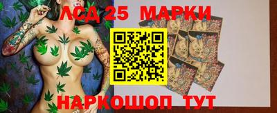 прущие грибы Новозыбков