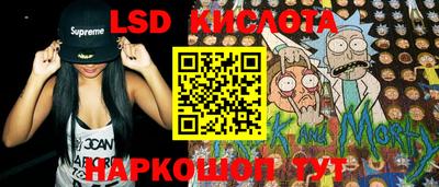 прущие грибы Новозыбков