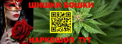 дмт Обь