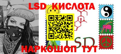 прущие грибы Новозыбков