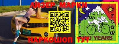 прущие грибы Новозыбков