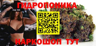 прущие грибы Новозыбков