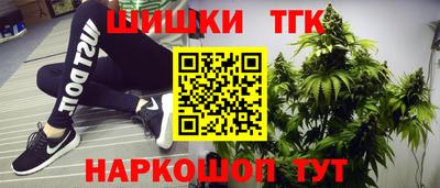 дмт Обь