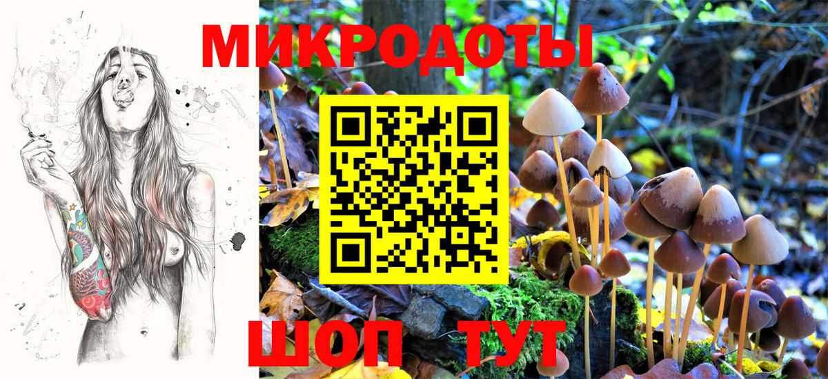 Галлюциногенные грибы мицелий Буйнакск