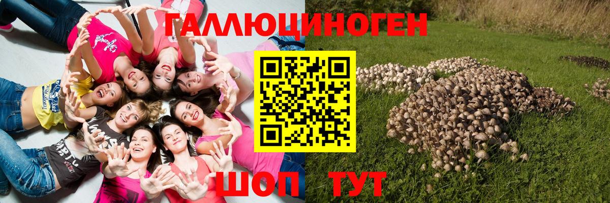 Галлюциногенные грибы прущие грибы  Вход с VPN  Буйнакск 